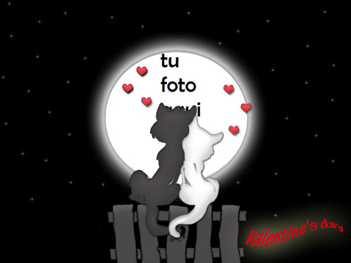Amantes De Los Gatos Marco Para Foto - Amantes De Los Gatos Marco Para Foto