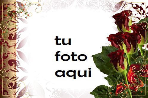 Amor Corazón Rosa Marco Para Foto - Amor Corazón Rosa Marco Para Foto