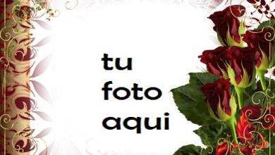 Amor Corazón Rosa Marco Para Foto 390x220 - Amor Corazón Rosa Marco Para Foto