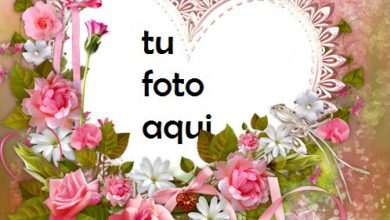 Amor Matrimonio Y Compromiso Marco Para Foto 390x220 - Amor Matrimonio Y Compromiso Marco Para Foto
