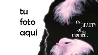 Belleza Del Momento Marco Para Foto 390x220 - Belleza Del Momento Marco Para Foto