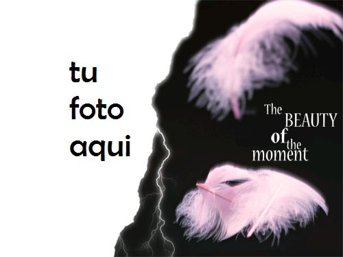 Belleza Del Momento Marco Para Foto - Belleza Del Momento Marco Para Foto