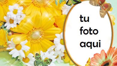 Eres Como Flores Y Rosas Marco Para Foto 390x220 - Eres Como Flores Y Rosas Marco Para Foto