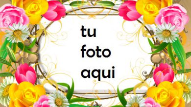 Eres Una Rosa En Medio De Flores Marco Para Foto 390x220 - Eres Una Rosa En Medio De Flores Marco Para Foto