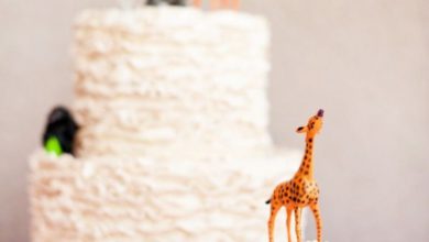 Escribir En Fotos En Hacer Tarta De Cumpleaños 390x220 - Escribir En Fotos En Hacer Tarta De Cumpleaños