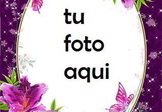 Feliz Cumpleaños Con Flores Marco Para Foto 318x220 - Feliz Cumpleaños Con Flores Marco Para Foto
