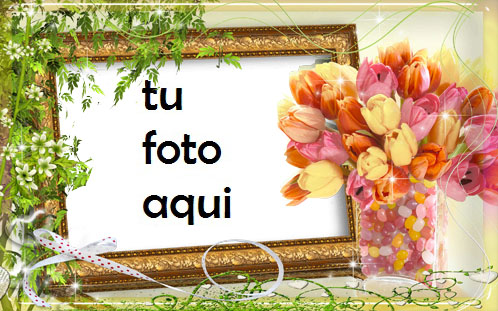 Flores De Tulipán Marco Para Foto - Flores De Tulipán Marco Para Foto