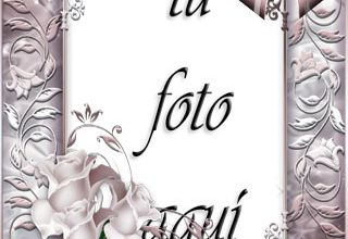 Flores Romanticas Marco Para Foto 320x220 - Flores Romanticas Marco Para Foto