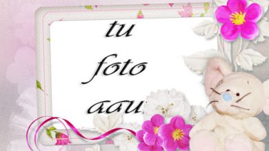 Flores Y Jazmín Marco Para Foto 390x220 - Flores Y Jazmín Marco Para Foto