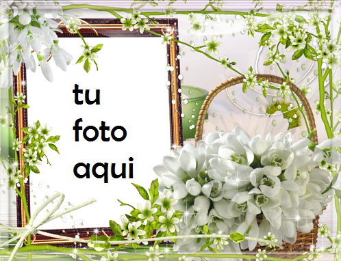 Ramo De Jazmín Marco Para Foto - Ramo De Jazmín Marco Para Foto
