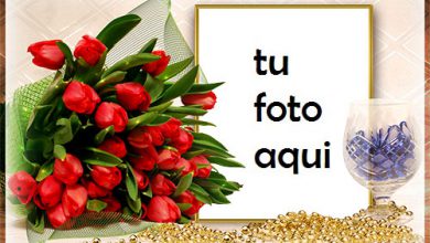Ramo De Rosas Rojas Marco Para Foto 390x220 - Ramo De Rosas Rojas Marco Para Foto