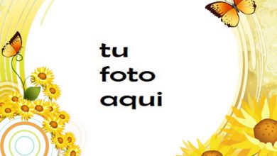 Sol Mariposas Y Amor Marco Para Foto 390x220 - Sol Mariposas Y Amor Marco Para Foto