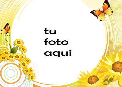 Sol Mariposas Y Amor Marco Para Foto - Sol Mariposas Y Amor Marco Para Foto