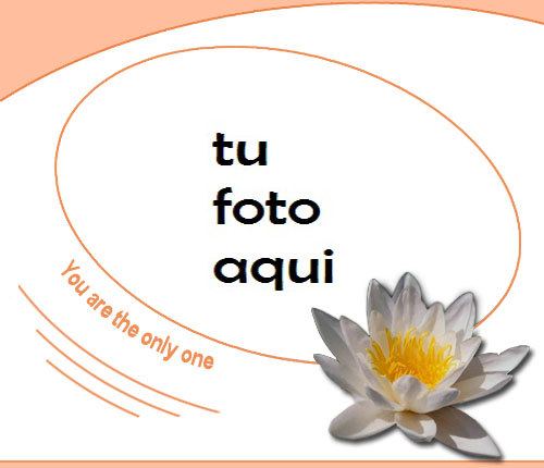 Tú Eres Mi Único Amor Marco Para Foto - Tú Eres Mi Único Amor Marco Para Foto
