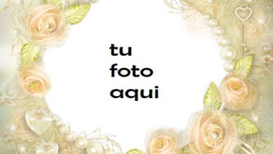 Tú Eres La Razon De Mi Felicidad Marco Para Foto 390x220 - Tú Eres La Razon De Mi Felicidad Marco Para Foto