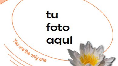 Tú Eres Mi Único Amor Marco Para Foto 390x220 - Tú Eres Mi Único Amor Marco Para Foto