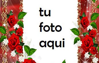 Un Collar De Flores Marco Para Foto 345x220 - Un Collar De Flores Marco Para Foto