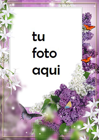 Violeta Y Jazmín Marco Para Foto - Violeta Y Jazmín Marco Para Foto