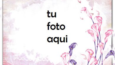 Aliento De Primavera Marco Para Foto 390x220 - Aliento De Primavera Marco Para Foto