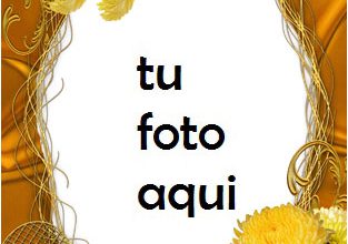 Amor Amarillo Marco Para Foto 313x220 - Amor Amarillo Marco Para Foto