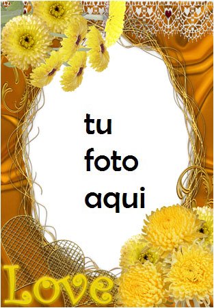 Amor Amarillo Marco Para Foto - Amor Amarillo Marco Para Foto