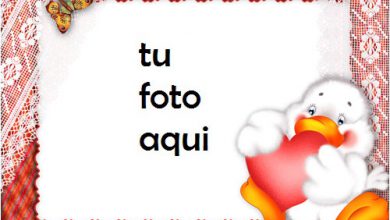 Amor Patos Con Un Gran Corazón Rojo Marco Para Foto 390x220 - Amor Patos Con Un Gran Corazón Rojo Marco Para Foto