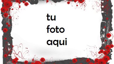 Amor rosa Marco Para Foto 390x220 - Amor rosa Marco Para Foto