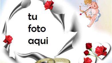 Anillo De Compromiso Y Anillo De Bodas Marco Para Foto 390x220 - Anillo De Compromiso Y Anillo De Bodas Marco Para Foto