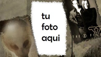 Archivos X Marco Para Foto 390x220 - Archivos X Marco Para Foto