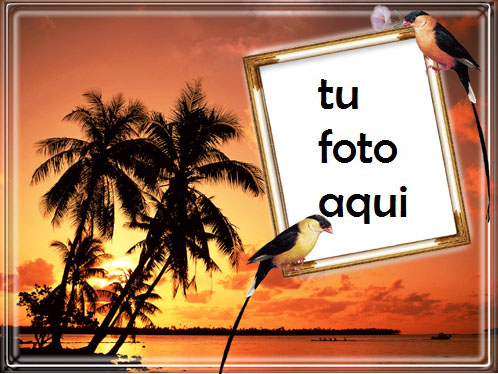 Atardecer En Una Isla Junto Al Mar Marco Para Foto - Atardecer En Una Isla Junto Al Mar Marco Para Foto