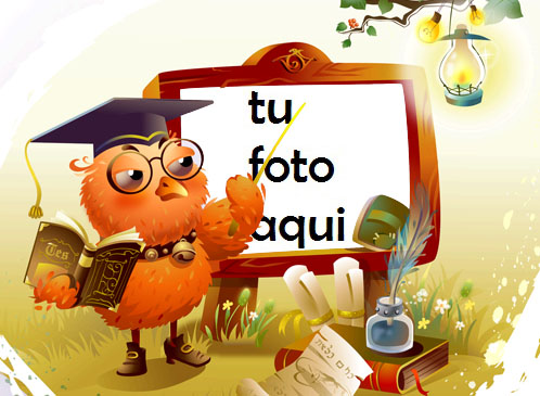 Búho Sabio Marco Para Foto - Búho Sabio Marco Para Foto