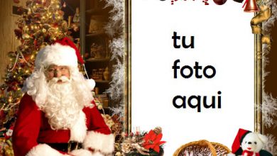 Bienvenido Santa Marco Para Foto 390x220 - Bienvenido Santa Marco Para Foto
