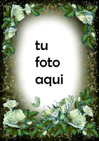 Bosque Blanco Romántico Marco Para Foto - Bosque Blanco Romántico Marco Para Foto