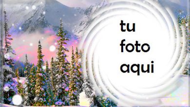 Bosque De Invierno Marco Para Foto 390x220 - Bosque De Invierno Marco Para Foto