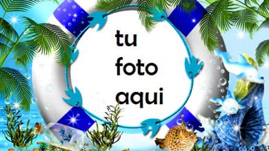 Boya De Mar Marco Para Foto 390x220 - Boya De Mar Marco Para Foto