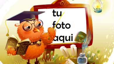 Búho Sabio Marco Para Foto 390x220 - Búho Sabio Marco Para Foto