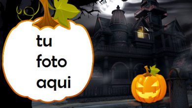 Calabaza Marco Para Foto 390x220 - Calabaza Marco Para Foto