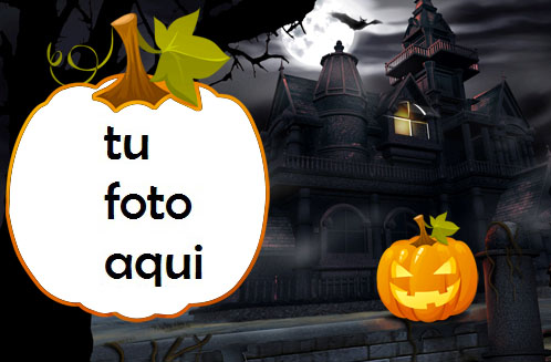 Calabaza Marco Para Foto - Calabaza Marco Para Foto