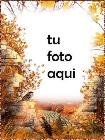 Camino Otoño Marco Para Foto - Camino Otoño Marco Para Foto