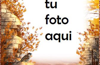 Camino Otoño Marco Para Foto 336x220 - Camino Otoño Marco Para Foto