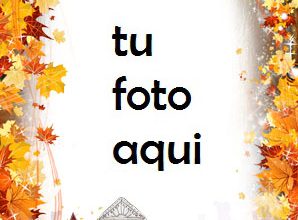 Ciudad de otoño flores de otoño Marco Para Foto 298x220 - Ciudad de otoño flores de otoño Marco Para Foto