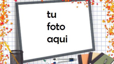 Colegio Marco Para Foto 390x220 - Colegio Marco Para Foto