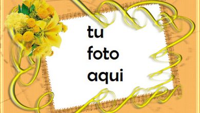 Color De Verano Marco Para Foto 390x220 - Color De Verano Marco Para Foto