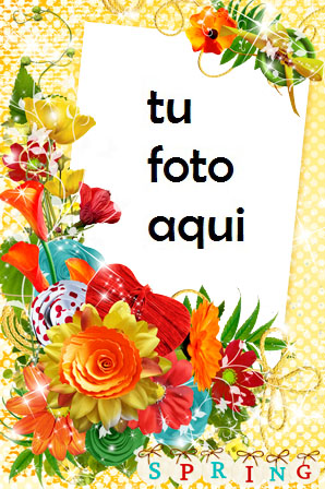 Colores De Primavera Marco Para Foto - Colores De Primavera Marco Para Foto