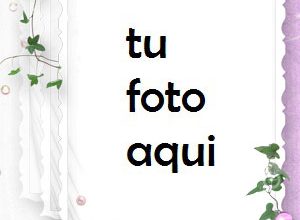 Compromiso De Flores Y Matrimonio Marco Para Foto 300x220 - Compromiso De Flores Y Matrimonio Marco Para Foto