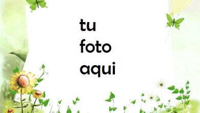 Con Mariposas Verdes Marco Para Foto 390x220 - Con Mariposas Verdes Marco Para Foto