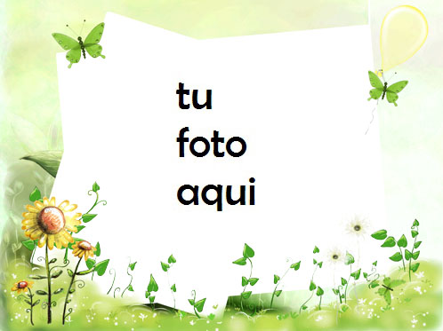 Con Mariposas Verdes Marco Para Foto - Con Mariposas Verdes Marco Para Foto