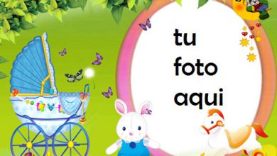 Conejito Bebé Marcos Para Foto 390x220 - Conejito Bebé Marcos Para Foto