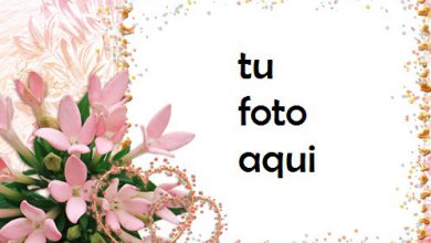 Corazones De Flores Románticas Marco Para Foto 390x220 - Corazones De Flores Románticas Marco Para Foto