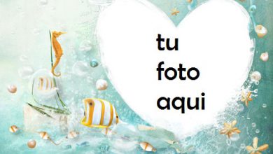 Corazón Bajo El Agua Con Los Peces Más Bellos Marco Para Foto 390x220 - Corazón Bajo El Agua Con Los Peces Más Bellos Marco Para Foto